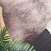 Kuhfell - Bovine Grau Braun - thumbnail 2