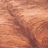 Kuhfell - Bovine Braun - thumbnail 3