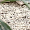 Hochflor Wollteppich - Royal Creme Grau - thumbnail 5
