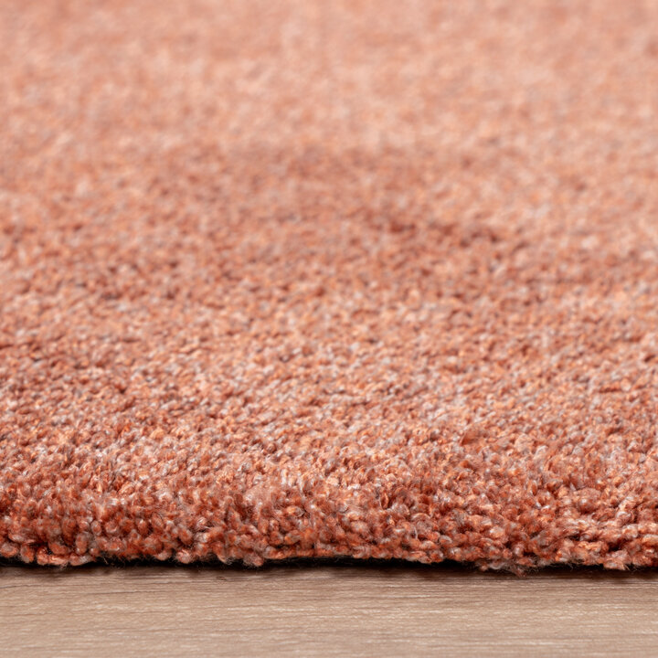 Waschbarer Teppich - Clean Terra - 4