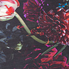Teppich Floral - Florine Schwarz Rosa - thumbnail 5