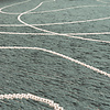 In- & Outdoor Teppich - Porto Lines Grün - thumbnail 2