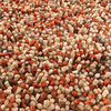 Wollteppich Hochflor - Elin Rot Terracotta - thumbnail 3