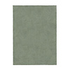 Shaggy Teppich - Farenzo Mint - thumbnail 1