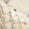 Boho Teppich - Basai Fransen 425 Creme Grün - thumbnail 3