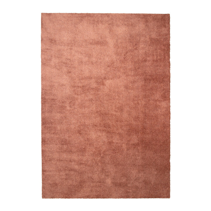 Waschbarer Teppich - Clean Terra - 1